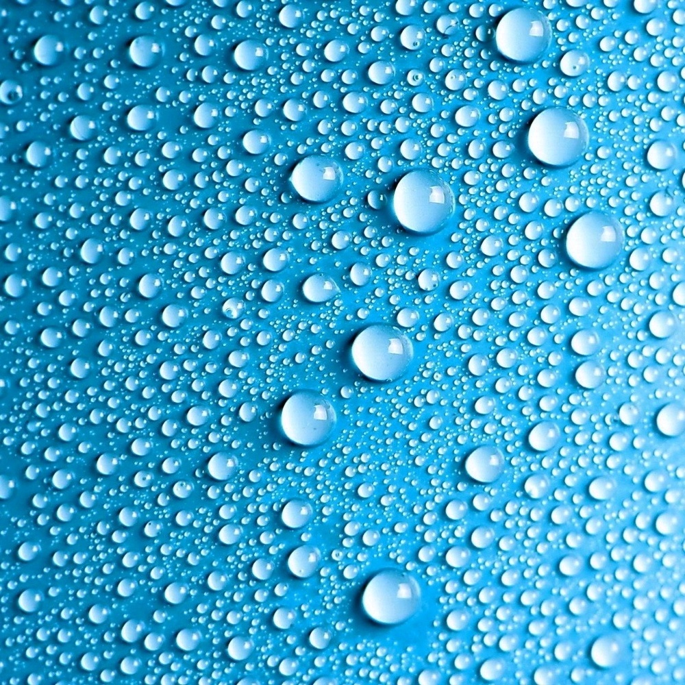 Meet your Posher, Tim